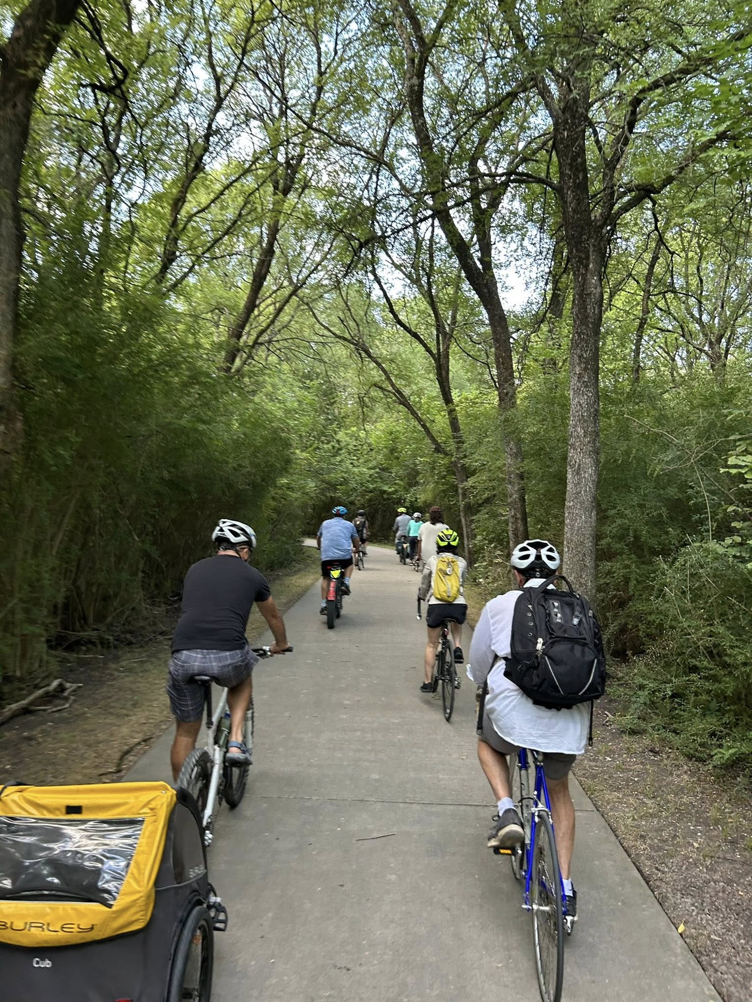 RBC Cleans Up Galatyn Nature Preserve 
